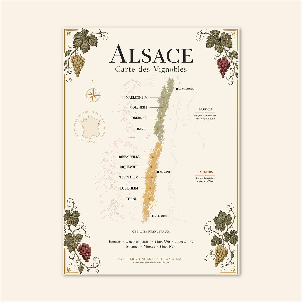 Affiche Alsace Carte des Vignobles 50x70 cm sur fond crème