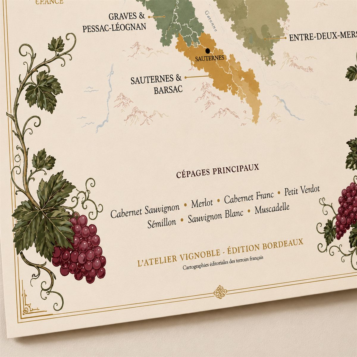 Affiche Bordeaux Carte des Vignobles 50x70 cm zoom appellations