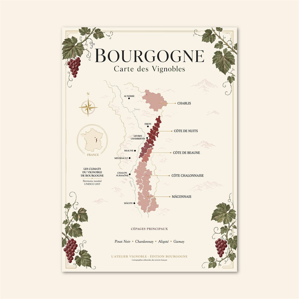 Affiche Bourgogne Carte des Vignobles 50x70 cm sur fond crème